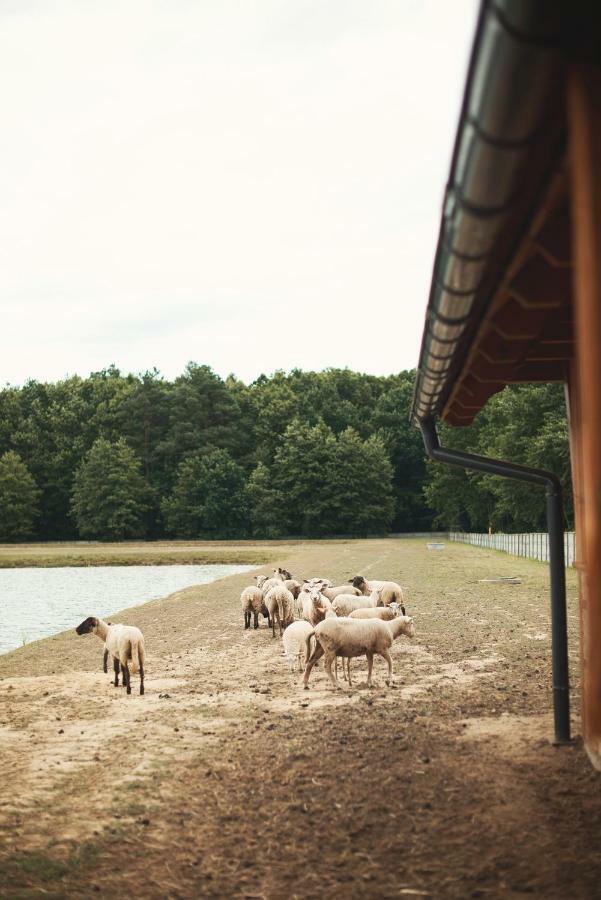 Tatarska Zagroda - Agroturystyka Dolina Baryczy Noclegi - Domek Jelonek Krosnice Exterior foto